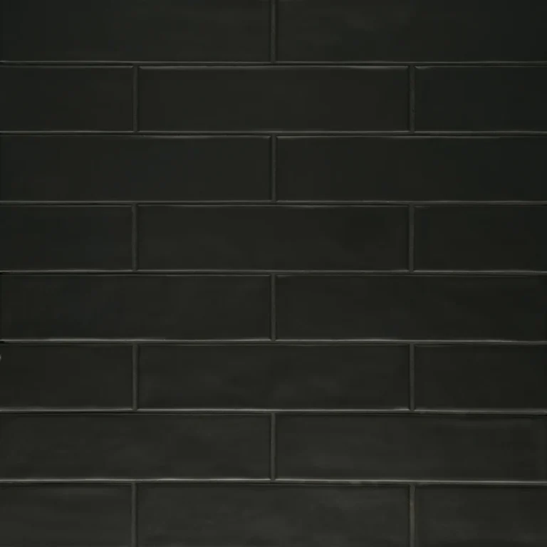 Clara 2.75 x 11 Porcelain Tile in Noir Matte